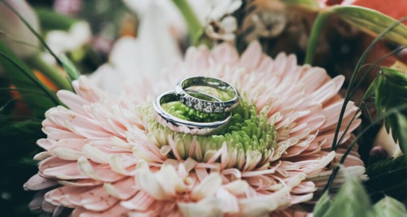 collection-category-weddings-honeymoons-1024×547