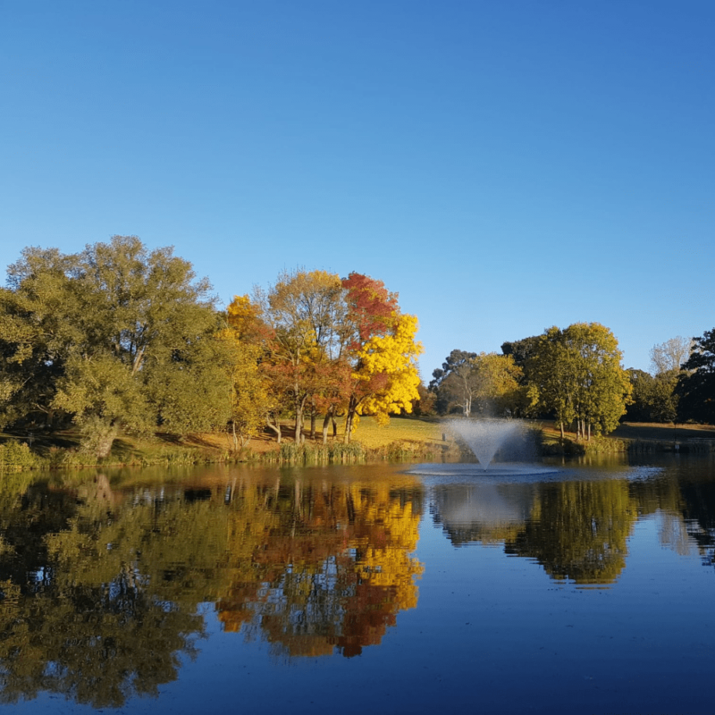 wivenhoe-park-1000×1000-1